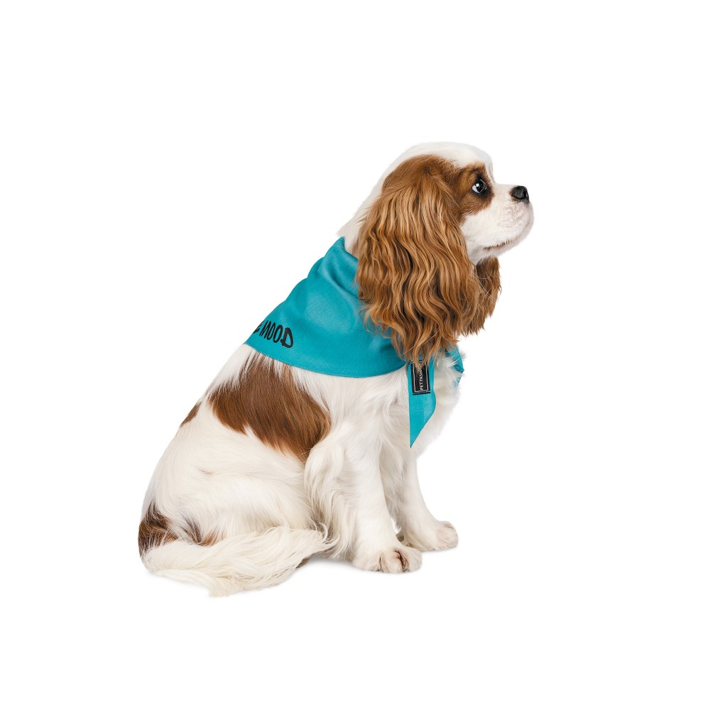 Бандана для тварин Pet Fashion "WEEKEND" M-XL блакитна (4823082421138) зображення 2