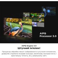 Телевизор TCL 55C845 изображение 4