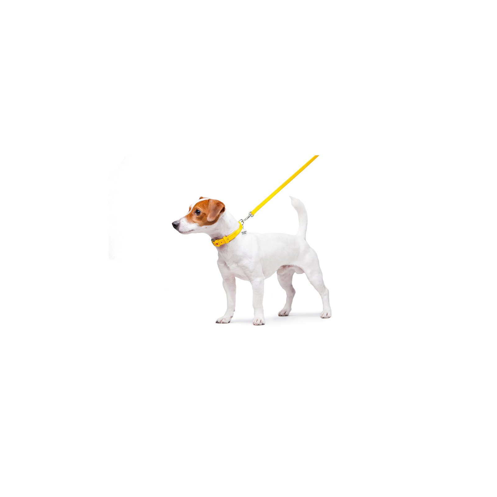 Поводок для собак WAUDOG Glamour кожаный XS желтый (33728) изображение 3
