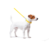 Поводок для собак WAUDOG Glamour кожаный XS желтый (33728) изображение 4