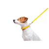 Поводок для собак WAUDOG Glamour кожаный XS желтый (33728) изображение 5