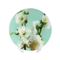 Блюдо Interos 30 см Яблоня бірюза 77578 (ИТ-S3012/R067)