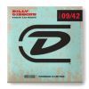 Струны для гитары Jim Dunlop String Lab Series Billy Gibbons Guitar String (09-42) (RWN0942) изображение 3