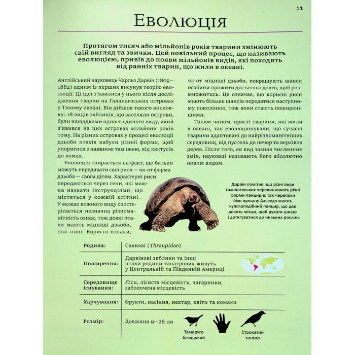 Книга Велика книга тварин - Клаудія Мартін Vivat (9786171704794) изображение 11