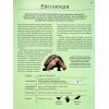 Книга Велика книга тварин - Клаудія Мартін Vivat (9786171704794) изображение 11