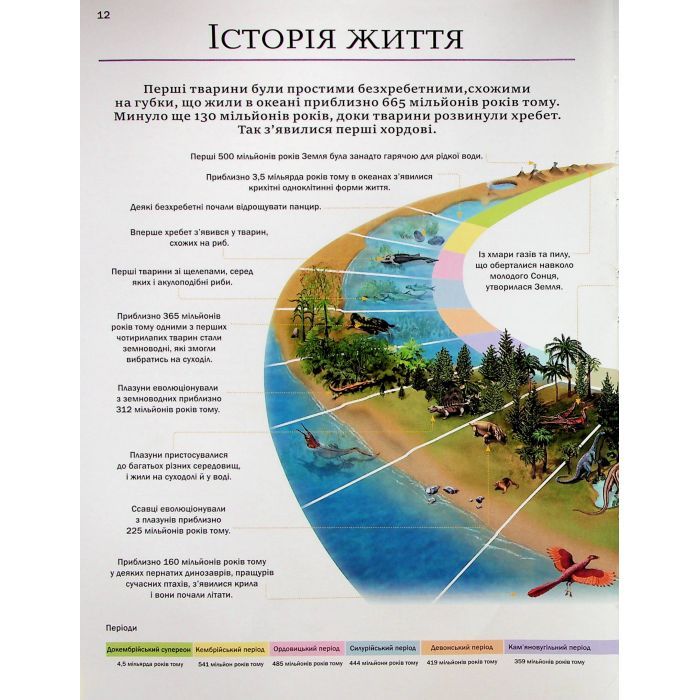 Книга Велика книга тварин - Клаудія Мартін Vivat (9786171704794) изображение 12