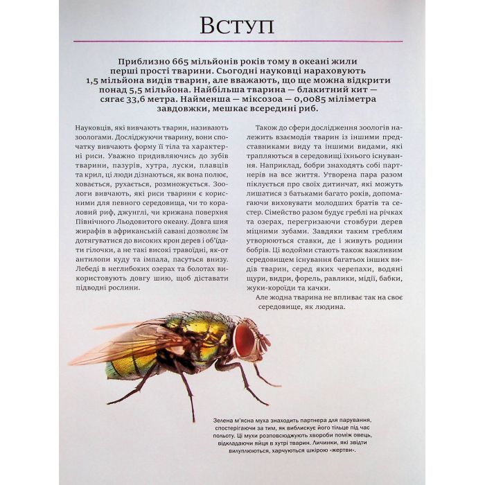 Книга Велика книга тварин - Клаудія Мартін Vivat (9786171704794) изображение 4