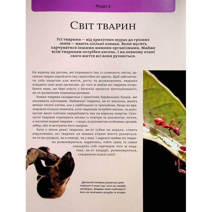 Книга Велика книга тварин - Клаудія Мартін Vivat (9786171704794) изображение 6