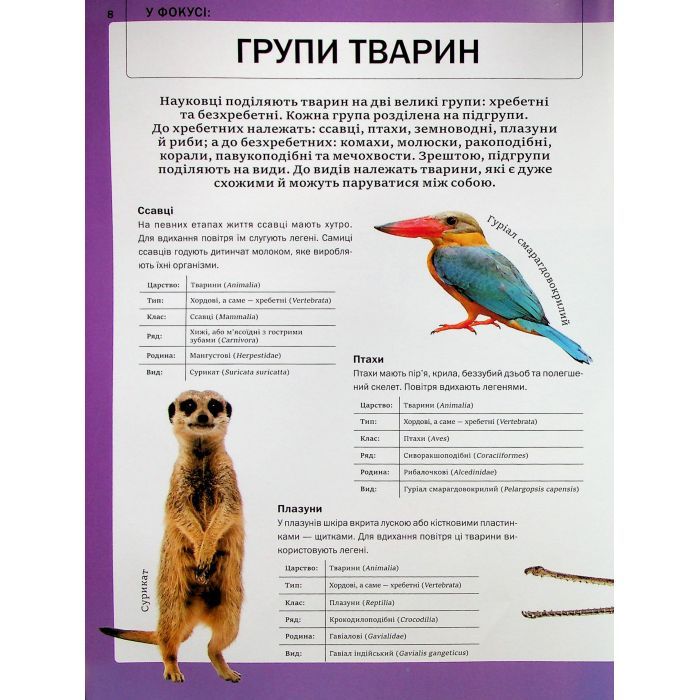 Книга Велика книга тварин - Клаудія Мартін Vivat (9786171704794) изображение 8