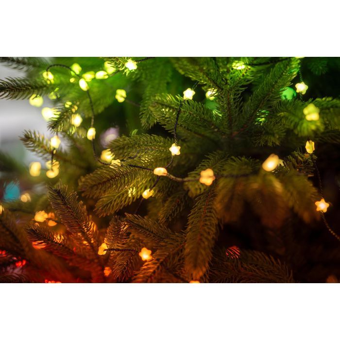 Гирлянда Twinkly Smart LED, Strings USB 100 Heart-shaped RGB LEDs, Clear Wire, USB-C (TWKH100RGB-T) изображение 7