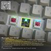 Клавиатура Epomaker EP64 60 Mulan Switch Hot-Swap RGB Wireless/Bluetooth/USB UA White (EP64-W-M) изображение 7