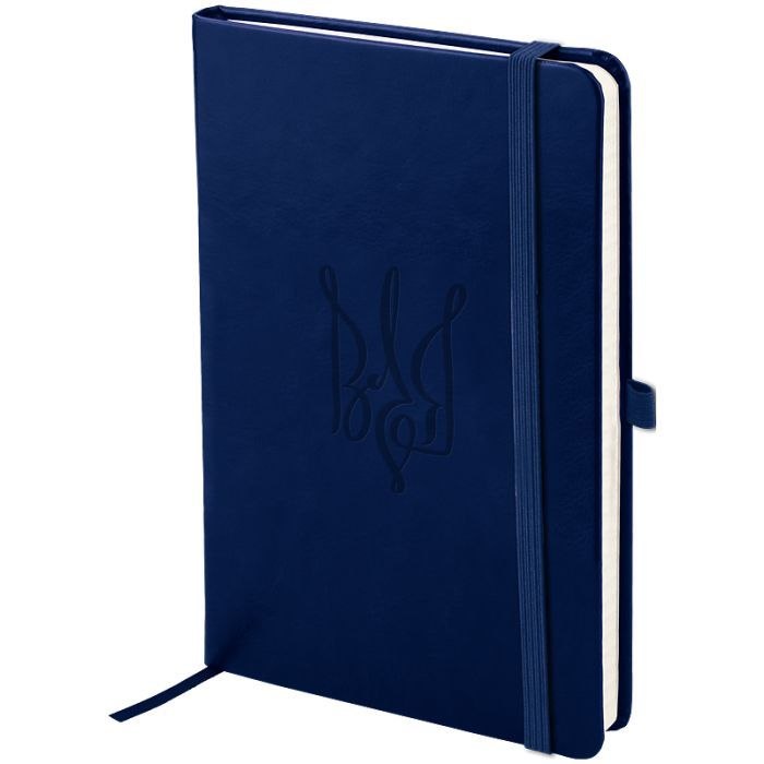 Книга записна Axent Partner Lux Воля 125x195 мм 96 аркушів, клітинка синя (8202-02-6-A)