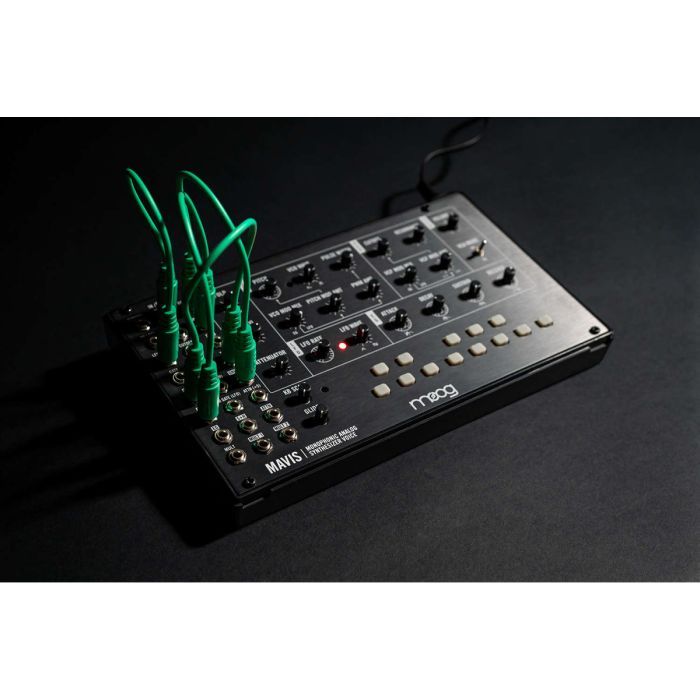 Синтезатор Moog Music Mavis (240985) зображення 4