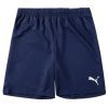 Шорты Puma teamRISE Short 704942-06 темно-синій M (4063699210248)