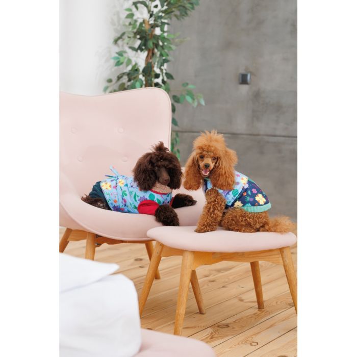 Костюм для животных Pet Fashion Alisa XS (4823082437474) изображение 5