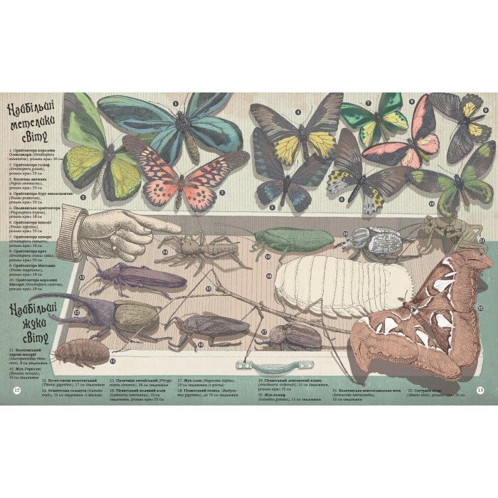 Книга Найвища гора, найглибший океан - Кейт Бейкер Ранок (9786170966391) зображення 2