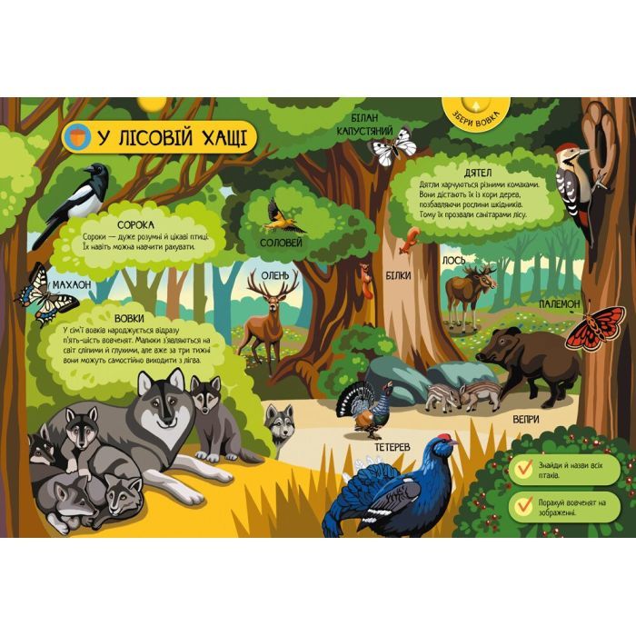 Книга Велика ігрова енциклопедія. Тварини лісу - А. Толмачова Ранок (9786170974747) зображення 6