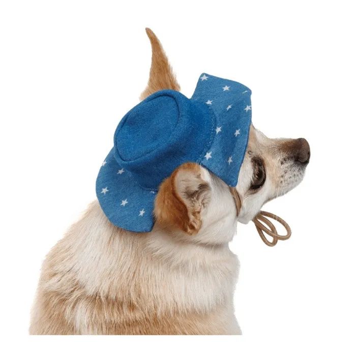 Кепка для животных Pet Fashion Stars S (4823082446124) изображение 4