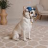 Кепка для животных Pet Fashion Stars S (4823082446124) изображение 5