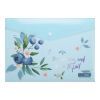 Папка - конверт Buromax А4 на кнопці, BLUEBERRY ARABESKI, напівпрозора,аквамарин (BM.3943-52)