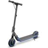 Электросамокат Segway Ninebot E10 (AA.00.0002.32)