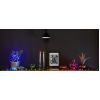 Гирлянда Twinkly Smart LED Strings RGBW 250, BT + WiFi, Gen II, IP44, кабель (TWS250SPP-TEU) изображение 9