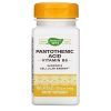 Витамин Nature's Way Пантотеновая кислота, Pantothenic Acid, 250 мг, 100 капсул (NWY-40491)