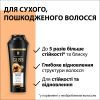 Шампунь Gliss Ultimate Repair для пошкодженого та сухого волосся 250 мл (9000100662918/9000100801416) зображення 3