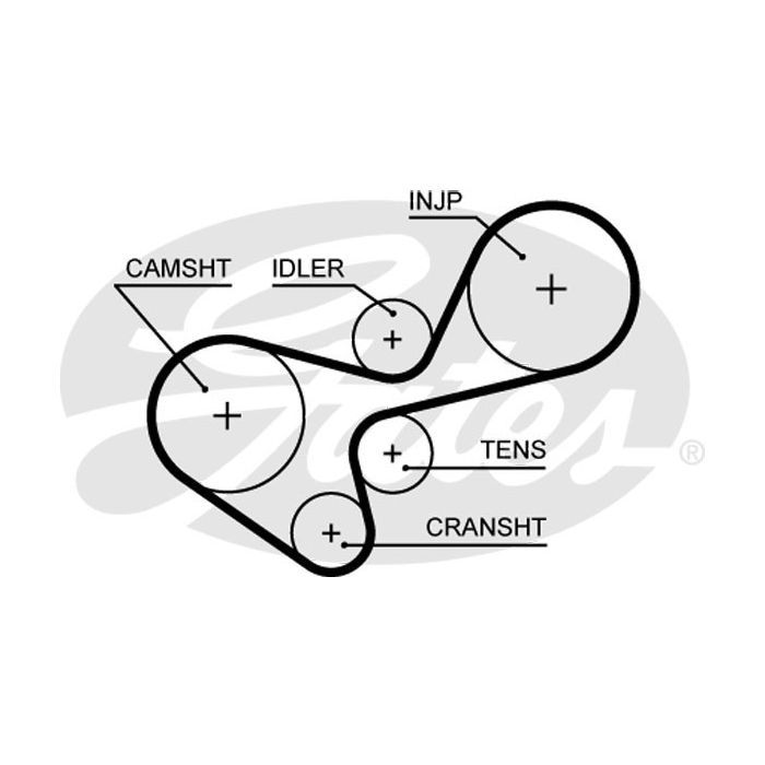 Ремень ГРМ Gates 5639XS
