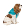 Бандана для животных Pet Fashion "WEEKEND" XS-S голубая (4823082421121) изображение 2