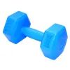Гантель PowerPlay 4124 Hercules 3 кг Blue (PP_4124_3kg) изображение 2