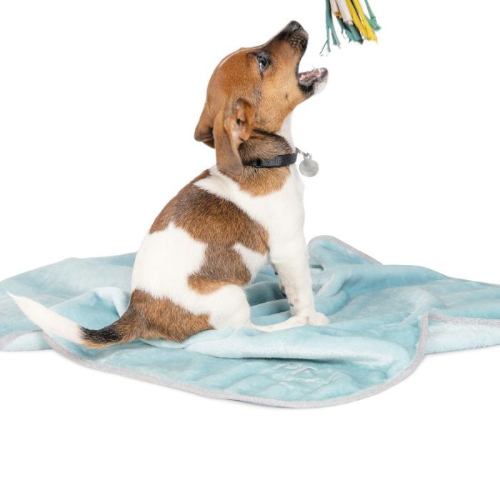 Коврик для животных Pet Fashion Bliss 1 77х60 см мятный (4823082419043) изображение 2