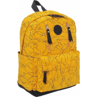 Фото - Школьный рюкзак (ранец) Cabinet Рюкзак шкільний  Fashion 15" жіночий 16 л Жовтий  O97003 (O97003)