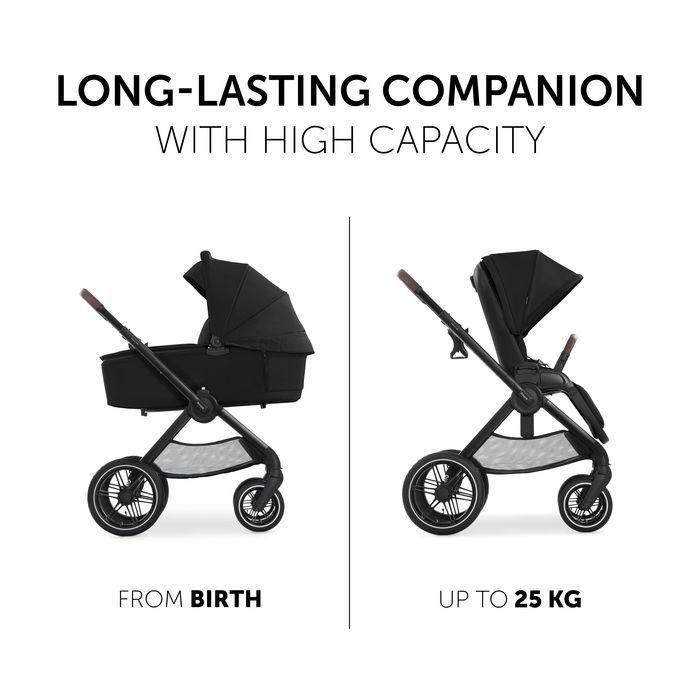 Коляска Hauck 2 в 1 Walk N Care Air (Black) (16547-8) зображення 6