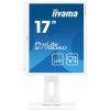 Монитор iiyama B1780SD-W1 изображение 2