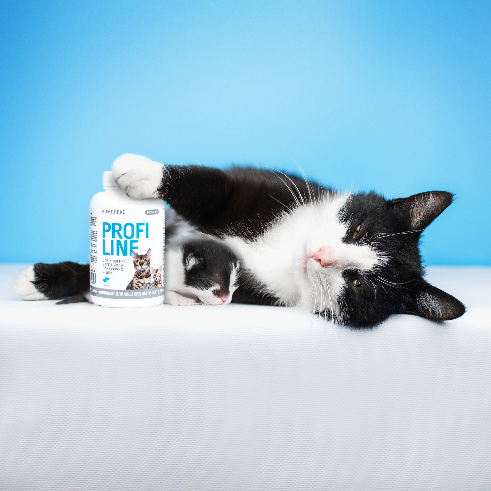 Витамины для кошек ProVET комплекс для котят, беременных и лактирующих кошек 180 табл. (4823082431632) изображение 3