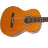 Гитара классическая Epiphone PRO-1 Classic 3/4 (228188) изображение 2
