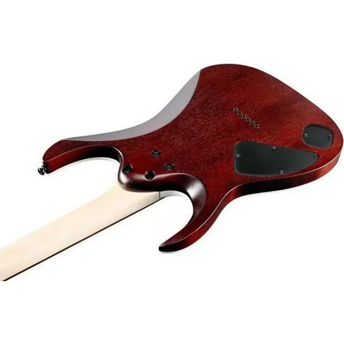 Электрогитара Ibanez RGA42FM DEF (226622) изображение 4