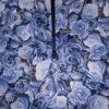 Парасоля Fulton L754-038796 Bloomsbury-2 Liquid Rose (L754-038796) зображення 6