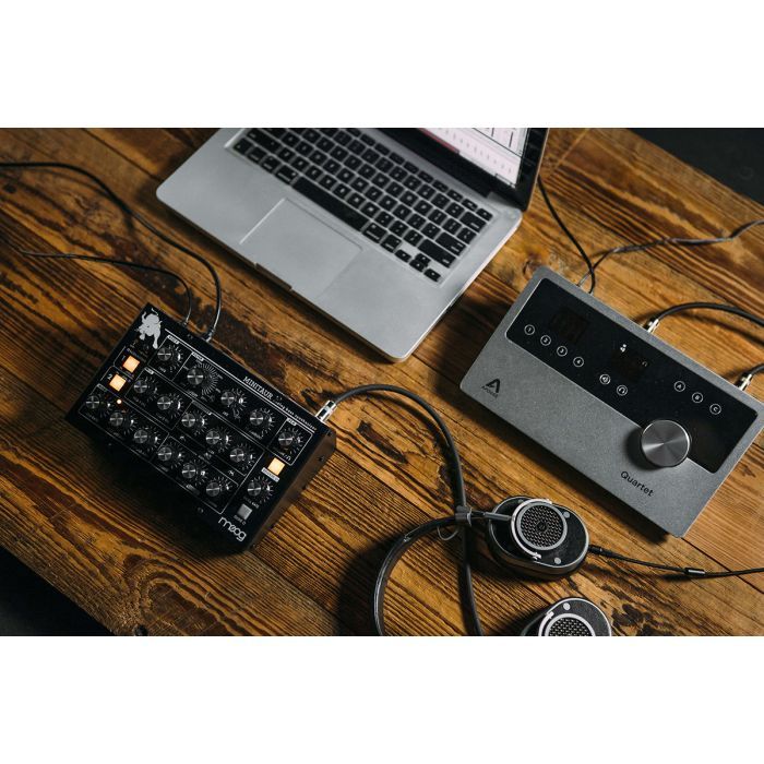 Синтезатор Moog Music Minitaur (226127) зображення 11
