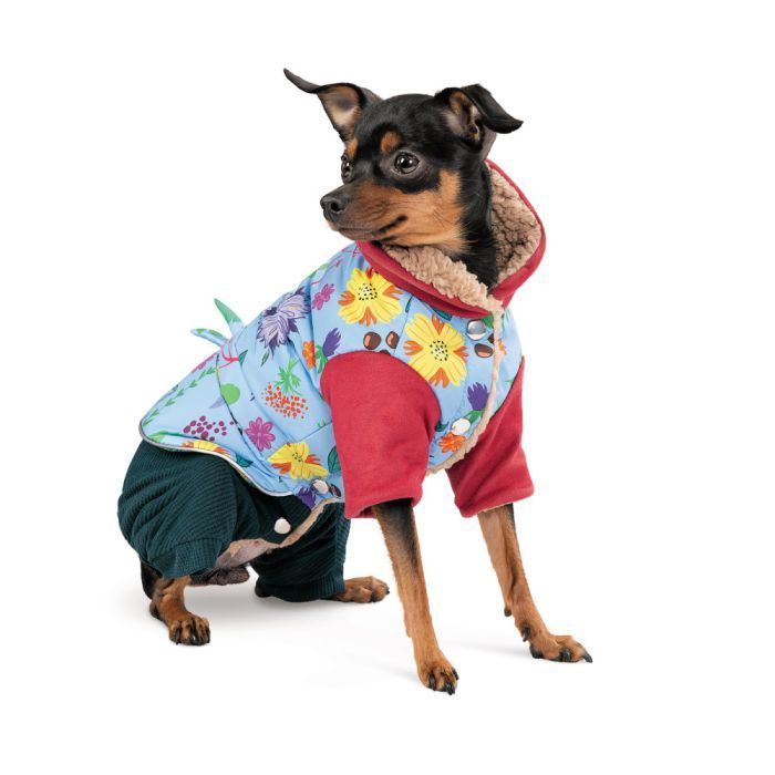 Костюм для животных Pet Fashion Alisa XS (4823082437474) изображение 2