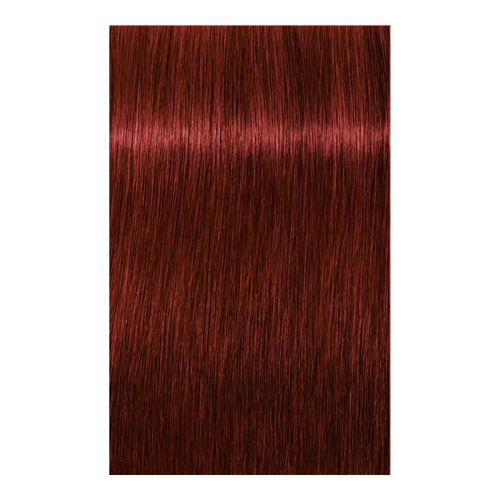 Краска для волос Schwarzkopf Professional Igora Royal 6-00 60 мл (4045787204766) изображение 2