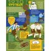 Книга Книга-мандрівка. Чемпіонати світу з футболу Видавництво Старого Лева (9789664484708) изображение 4