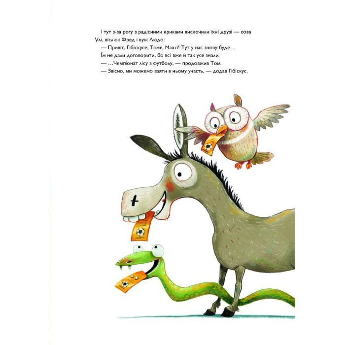 Книга Заєць Гібіскус і Чемпіонат лісу з футболу - Андреас Кеніґ Жорж (9786178287504) изображение 4