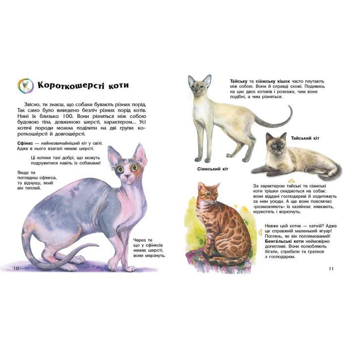 Книга Енциклопедія дошкільника. Коти - Юлія Каспарова Ранок (9786170992741) зображення 2