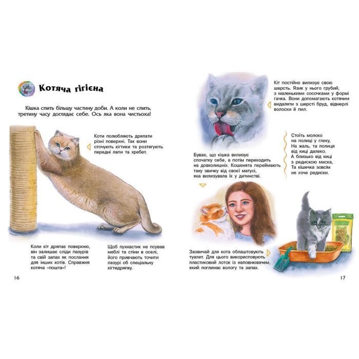 Книга Енциклопедія дошкільника. Коти - Юлія Каспарова Ранок (9786170992741) зображення 3