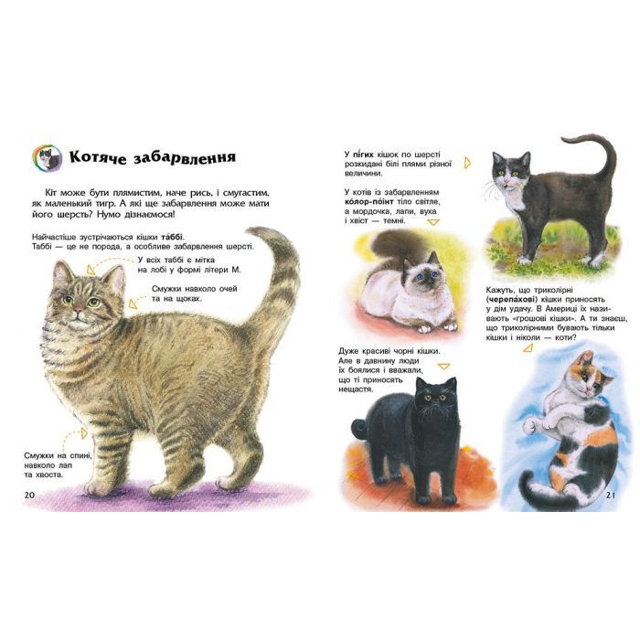 Книга Енциклопедія дошкільника. Коти - Юлія Каспарова Ранок (9786170992741) зображення 4