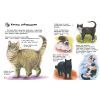 Книга Енциклопедія дошкільника. Коти - Юлія Каспарова Ранок (9786170992741) зображення 4