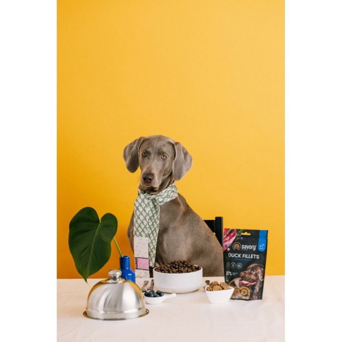 Лакомство для собак Savory Fillet Turkey With Duck 100 г (4820261921151) изображение 8