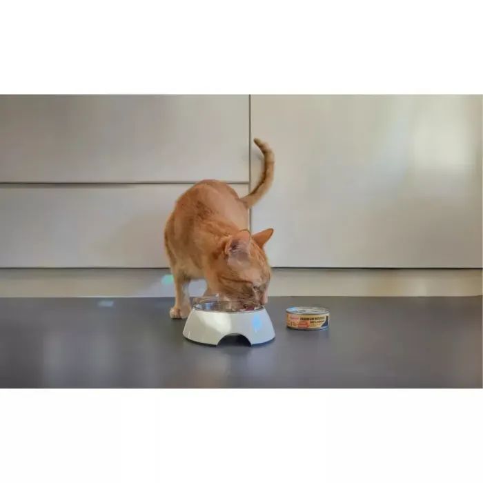 Паштет для котів Comfy Appetit Premium Mousse з індичкою 85 г (5905546341028) зображення 3